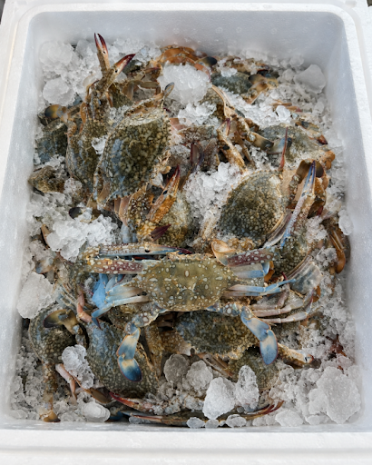 Frozen crab seafood