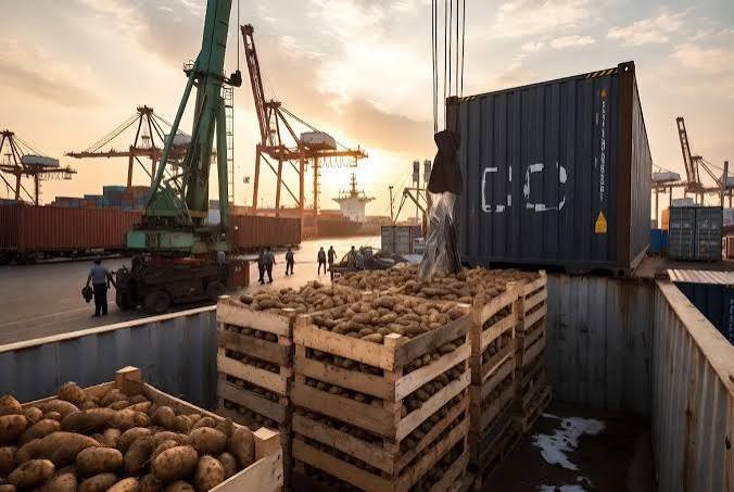 Potato Shipment to Benin